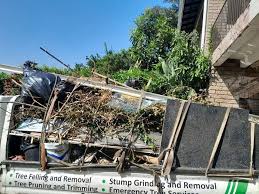 Best Retail Junk Removal  in Vonore, TN